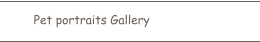 Pet portraits Gallery