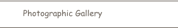 Photographic Gallery