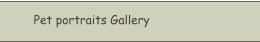 Pet portraits Gallery